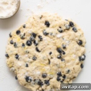 A scone dough disc on a floured surface, studded with blueberries and lightly dusted.