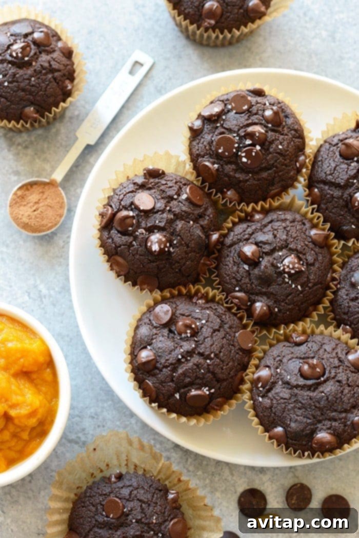 A plate of freshly baked, perfectly golden-brown oil-free chocolate pumpkin muffins, each studded with dark chocolate chips, ready to be enjoyed.