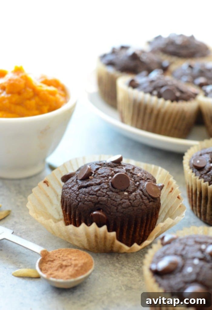 A single, perfectly baked chocolate pumpkin muffin with melted chocolate chips visible, resting on a white surface.