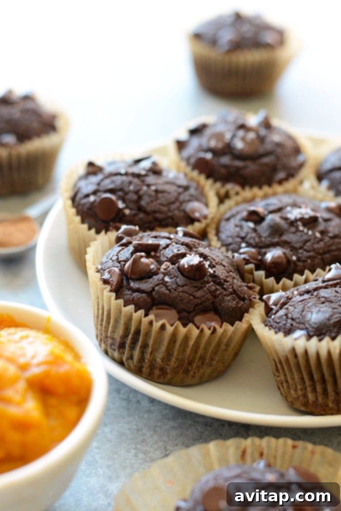 A beautifully arranged plate of oil-free chocolate pumpkin muffins, garnished with a light dusting of sea salt, perfect for sharing.