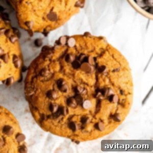 Pumpkin chocolate chip muffins with chocolate chips cooling on a wire rack.