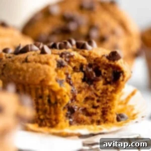 Pumpkin chocolate chip muffins with a bite taken out, showcasing the delicious texture.