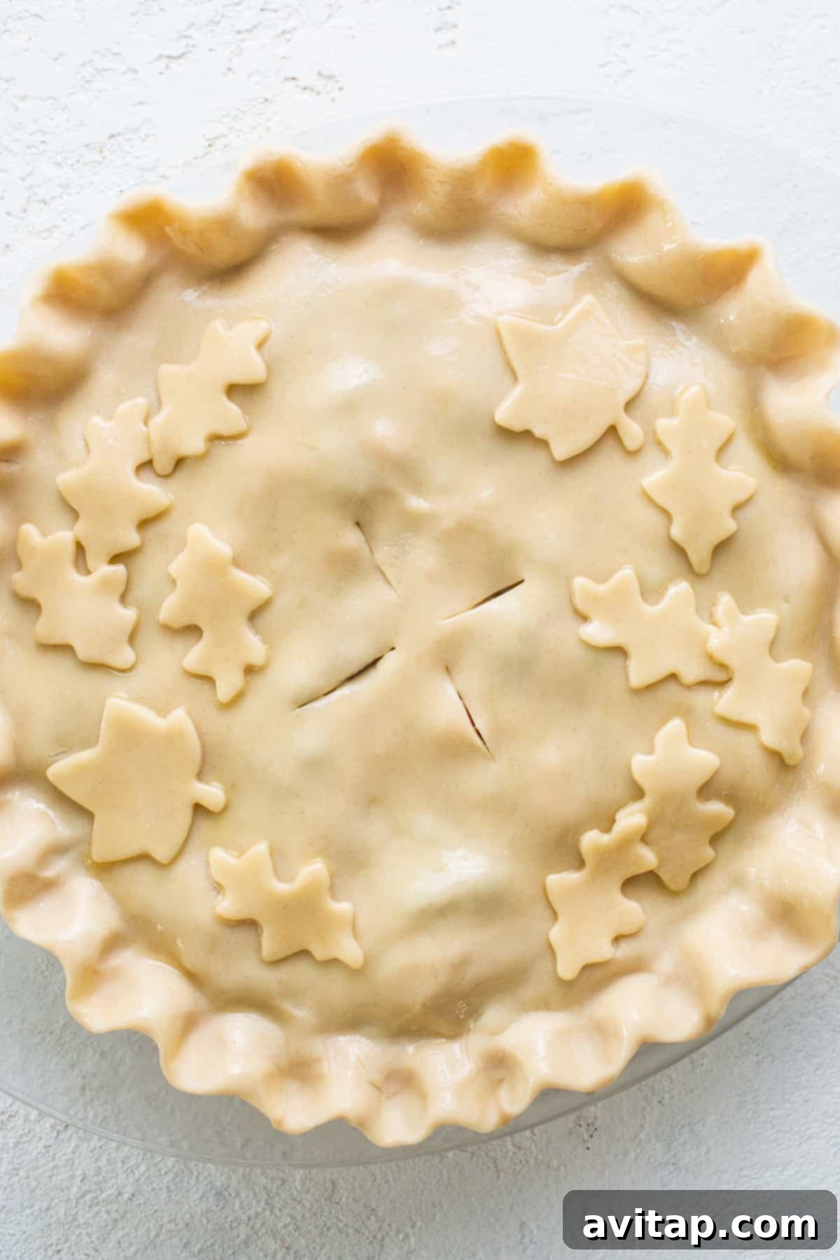 A beautifully baked pot pie adorned with delicate leaf-shaped crust cut-outs on its golden-brown top, ready to be served.