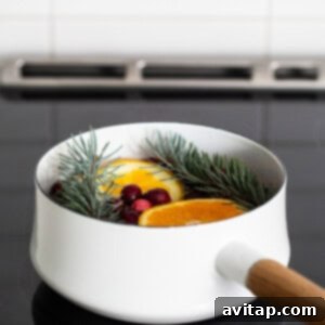 A white pan with oranges and pine needles on top of a stove, ready for simmering.