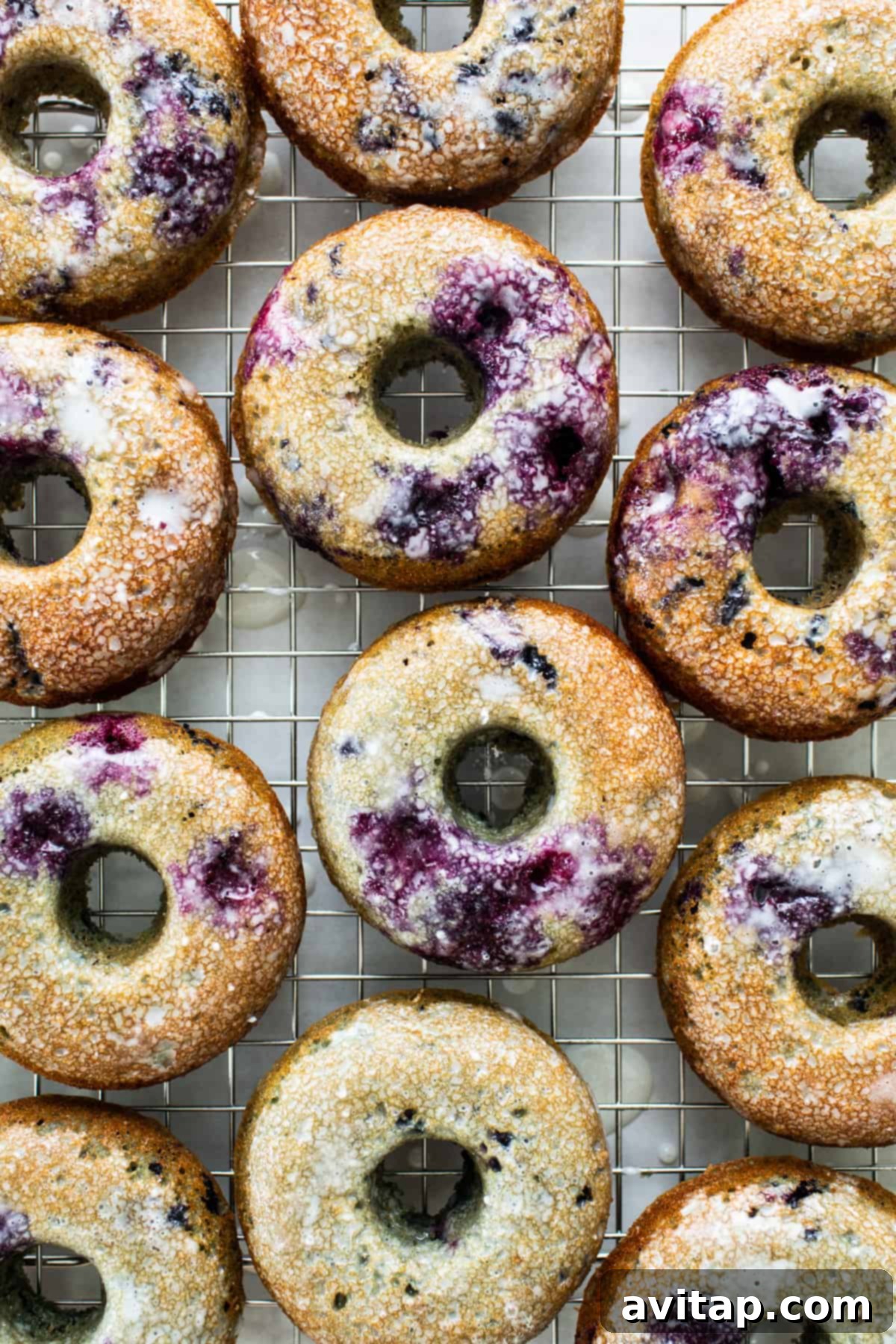 Baked blueberry donuts with a dusting of powdered sugar cooling on a wire rack.