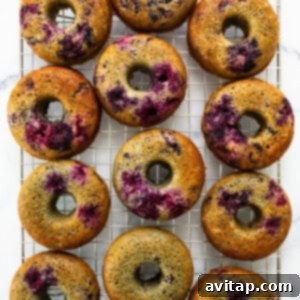Baked blueberry donuts on a cooling rack.