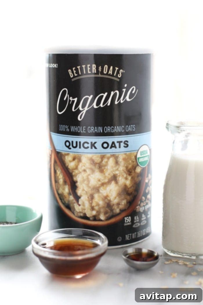 Close-up shot of creamy Chocolate Chip Cookie Dough Oatmeal in a bowl, showing texture and chocolate chips, with a spoon digging in. Vegan and healthy.