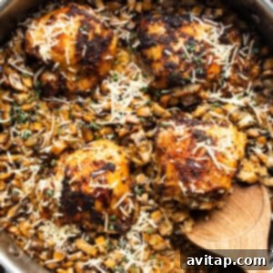 A pan with chicken and mushrooms in it, fresh from the oven with crispy skin.