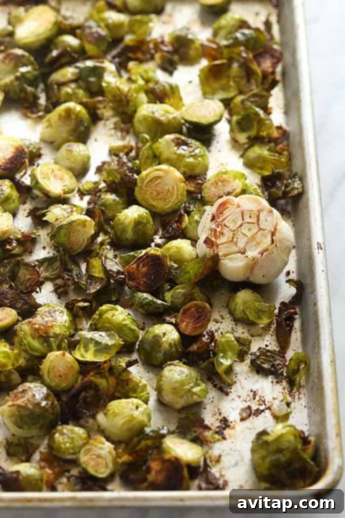A baking sheet filled with perfectly roasted and caramelized Brussels sprouts, fresh out of the oven.