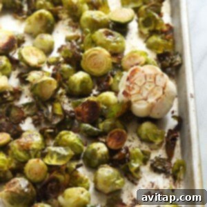 Roasted Brussels sprouts freshly removed from the oven, showing golden brown edges.