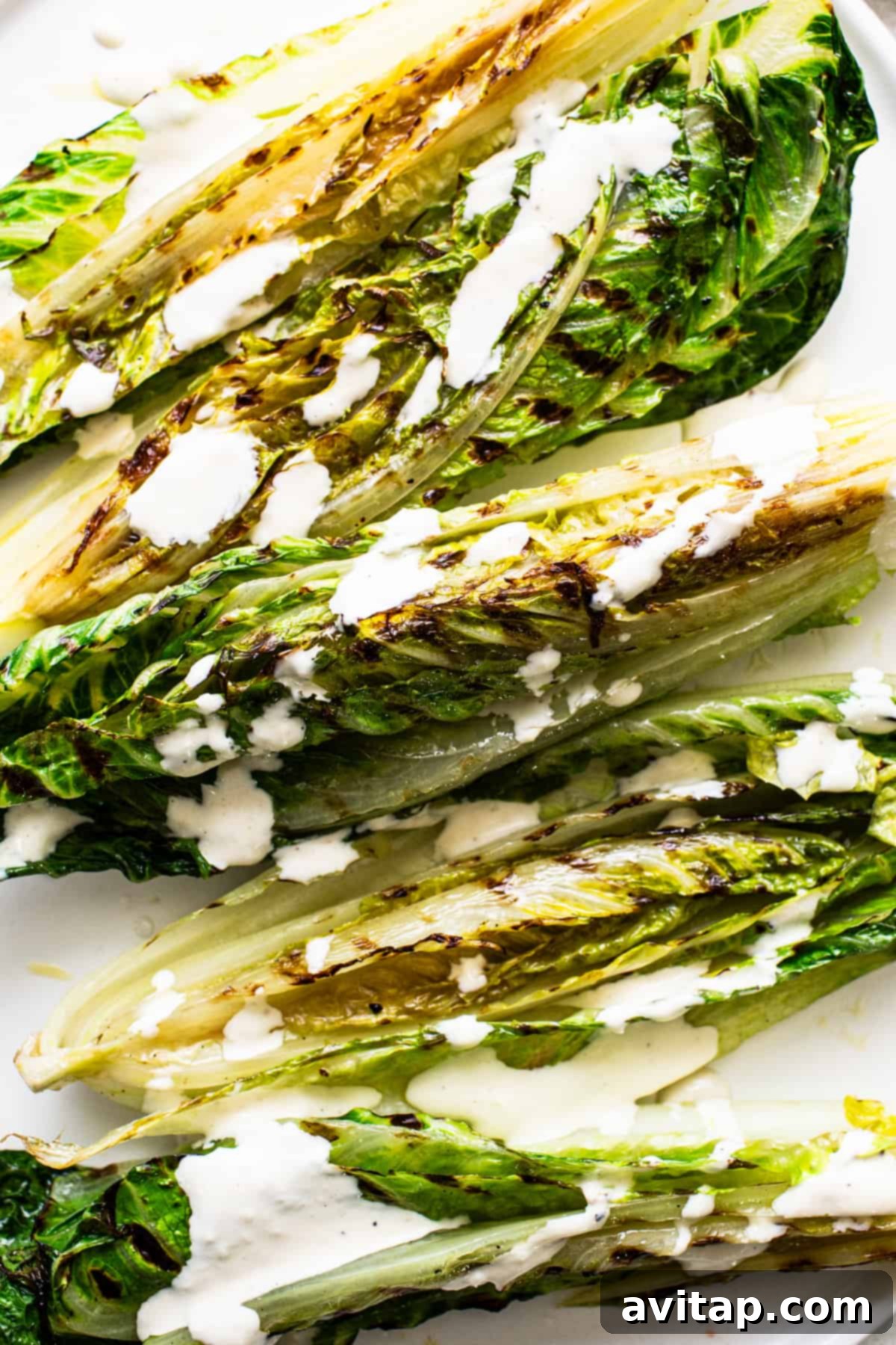 Flame-Kissed Caesar with Crispy Charred Croutons 5 Grilled romaine lettuce delicately drizzled with creamy Caesar dressing on a pristine white surface, highlighting its smoky char.