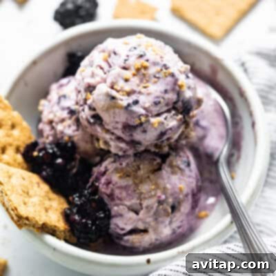A scoop of rich blackberry cheesecake ice cream in a clear bowl, showing its creamy texture and fruity swirls.