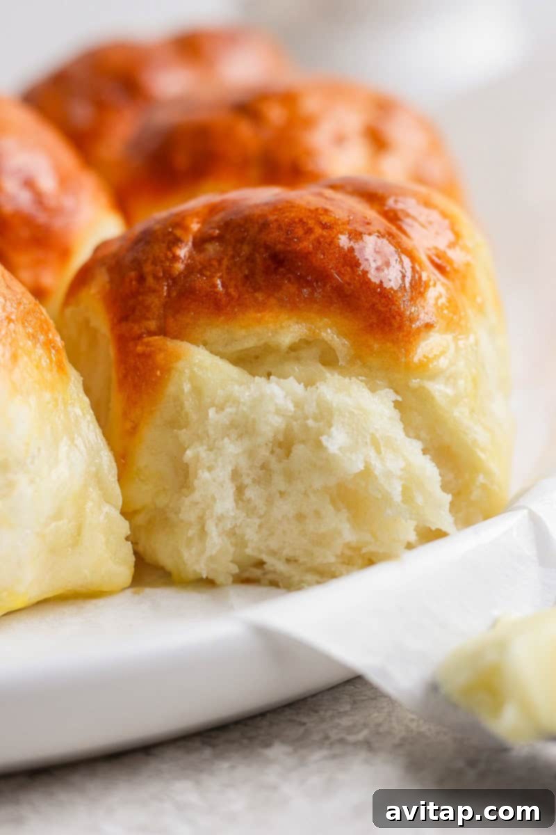 Close-up view of freshly baked, golden brown bread rolls on a white plate, showcasing their perfect texture.