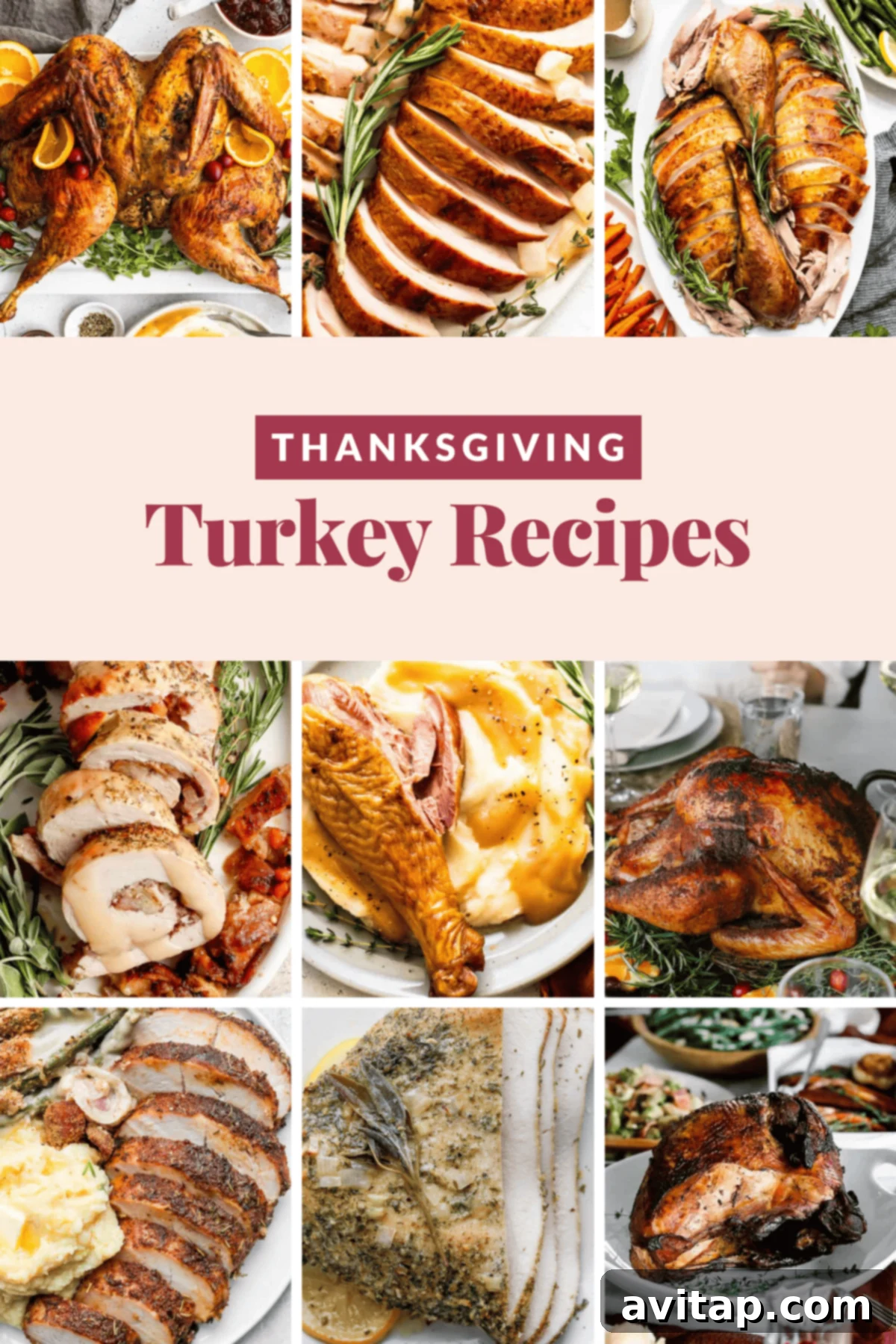 Collage of various Thanksgiving turkey dishes presented with "Thanksgiving Turkey Recipes" text in the center. Includes a whole roasted turkey, sliced turkey, turkey legs, and turkey breast.