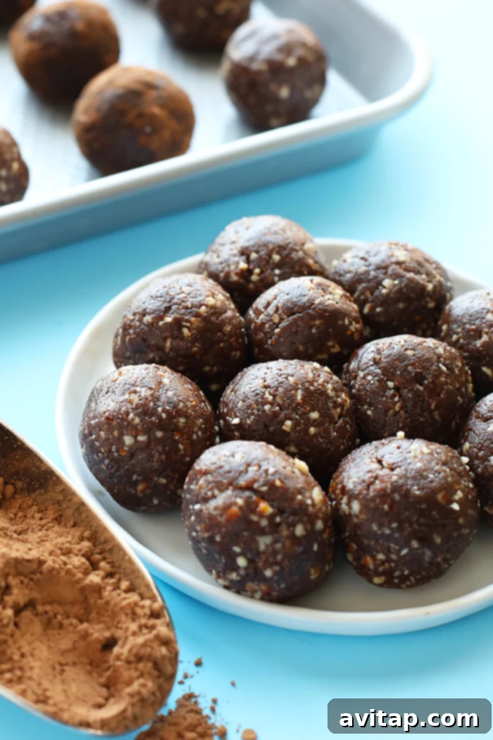 These healthy peanut butter brownie balls are the energy ball of all energy balls. They're packed with protein and fiber and pretty much taste like dessert!