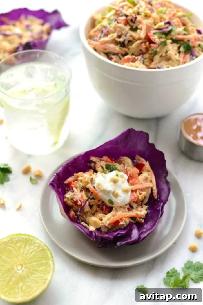 Thai Peanut Chicken Salad - Healthy Recipes for Nursing Moms