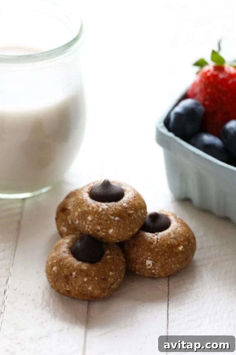 No Bake Chocolate Cashew Lactation Cookies - Healthy Recipes for Nursing Moms