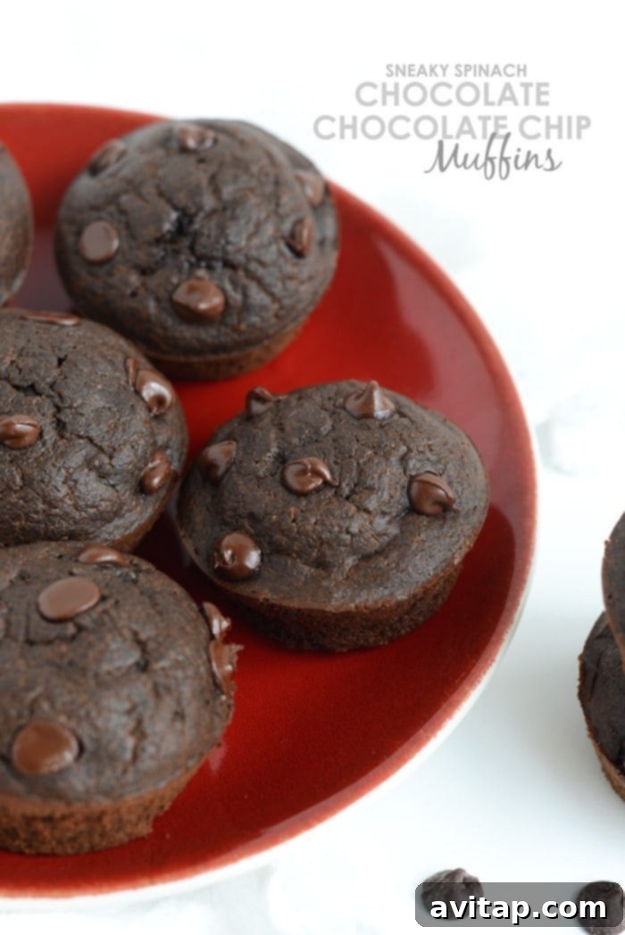 Sneaky Spinach Chocolate Chip Muffins - Healthy Recipes for Nursing Moms