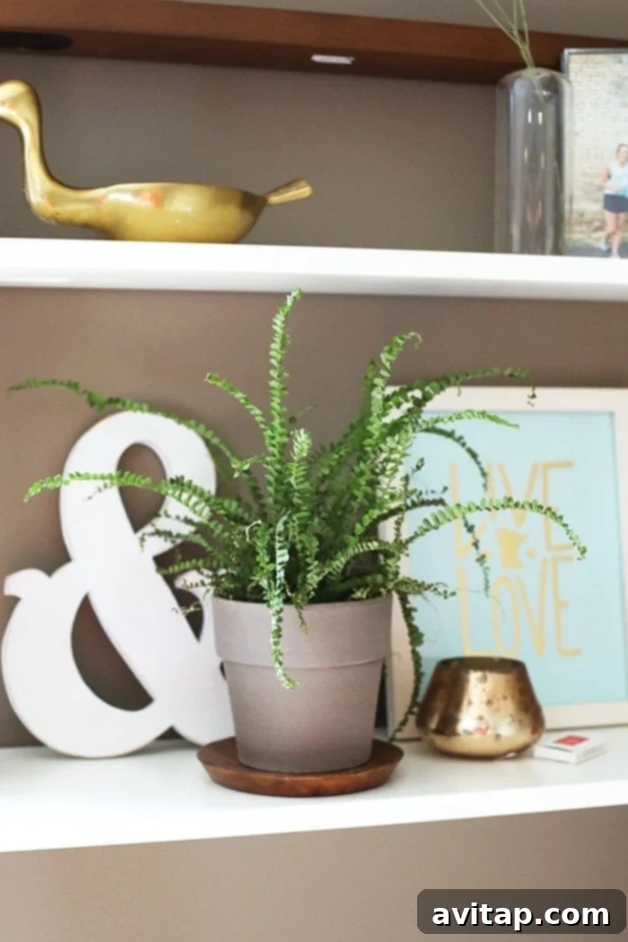Close-up of a stylish home office desk setup with a West Elm ladder desk, plants, and decor.