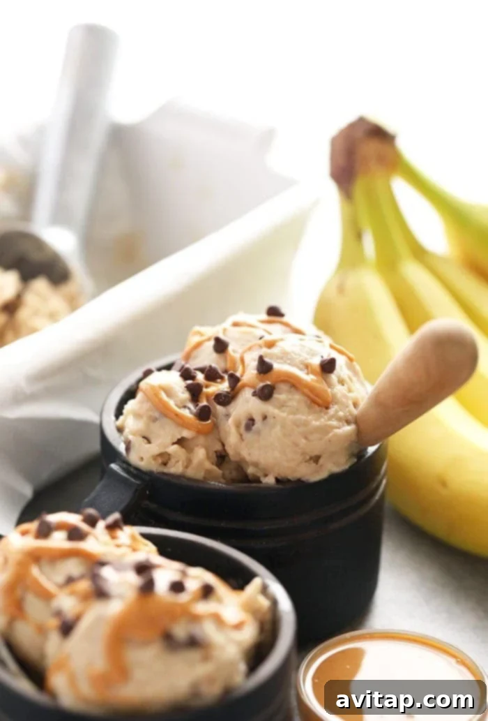 A delicious bowl of Peanut Butter Banana Nice Cream topped with chocolate chips, ready to be enjoyed.