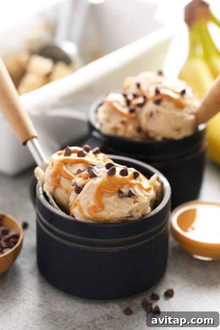 A beautifully presented bowl of Peanut Butter Banana Nice Cream, garnished with extra chocolate chips and a peanut butter drizzle, ready to be devoured.