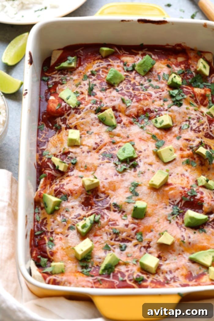 Baking dish full of healthy chicken enchiladas topped with melted cheese and fresh avocado slices