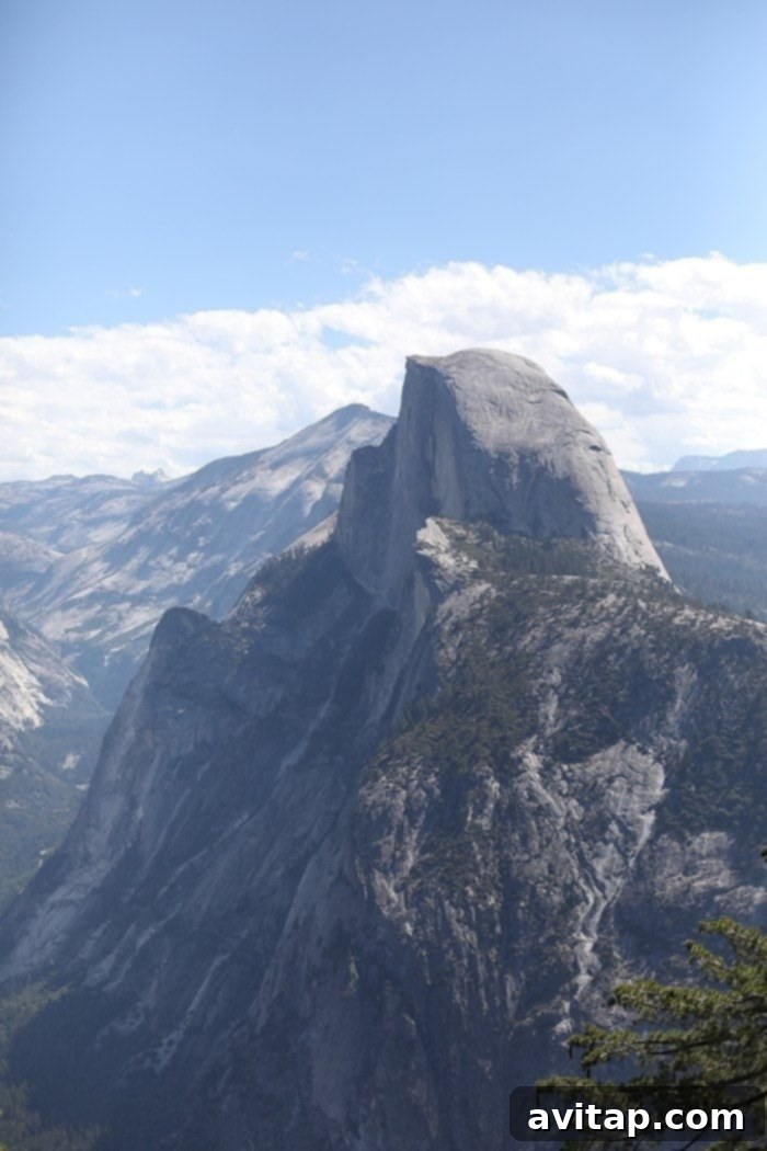 Couple embracing the vastness of Yosemite Valley from a high vantage point