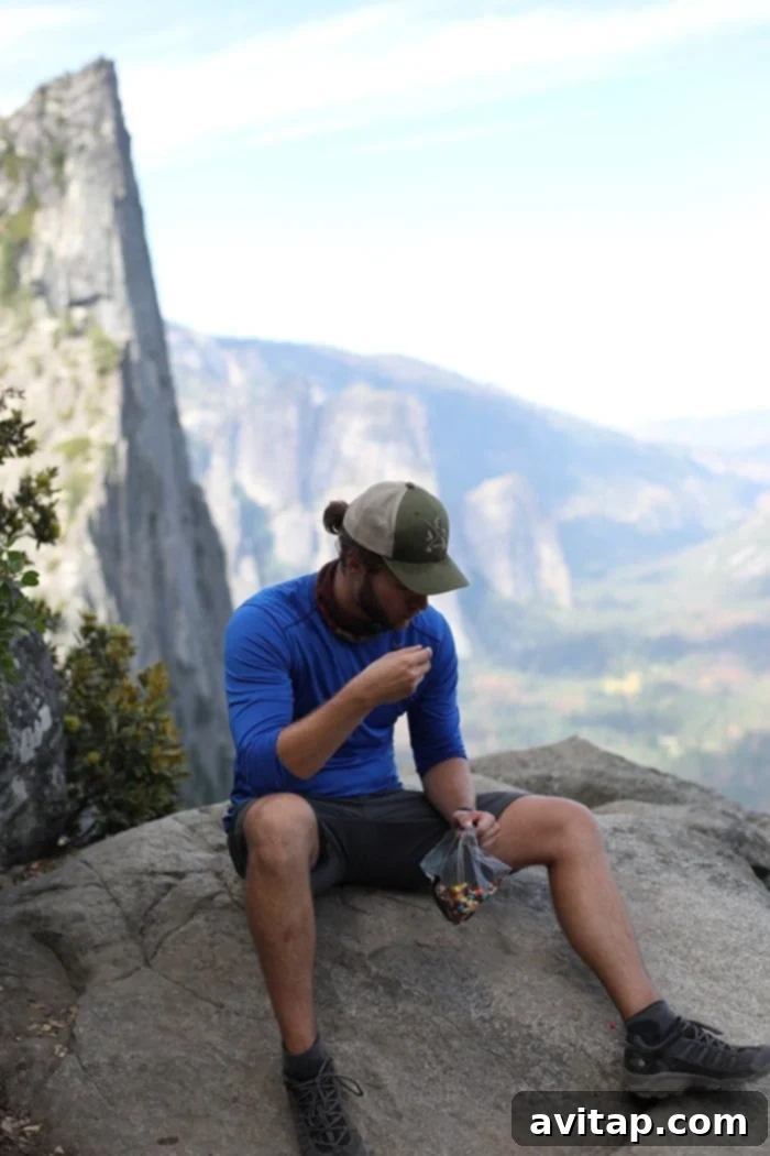 Majestic Half Dome framed by the wilderness of Yosemite National Park
