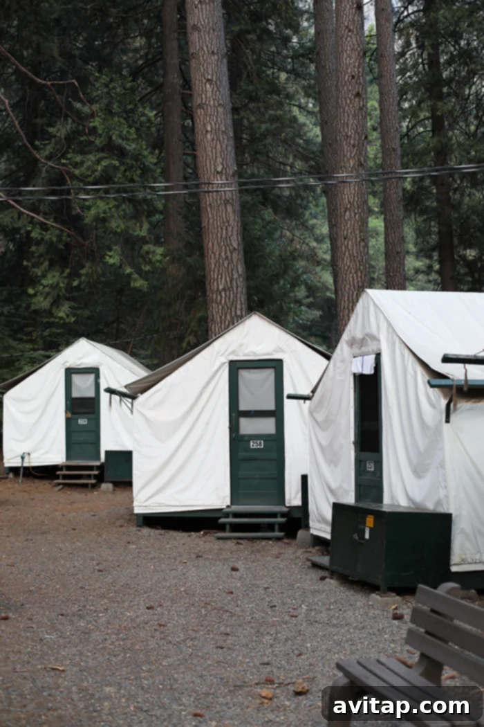 Inside a cozy Half Dome Village tent cabin, showing the glamping experience in Yosemite