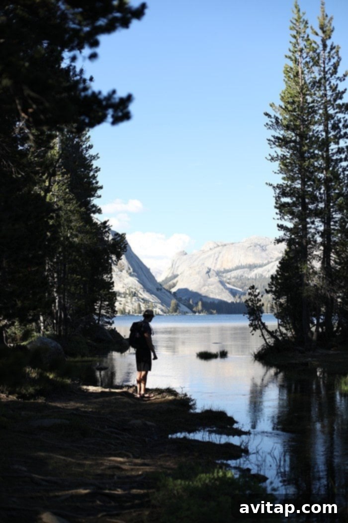 Scenic view of a glacial lake surrounded by granite peaks in Yosemite