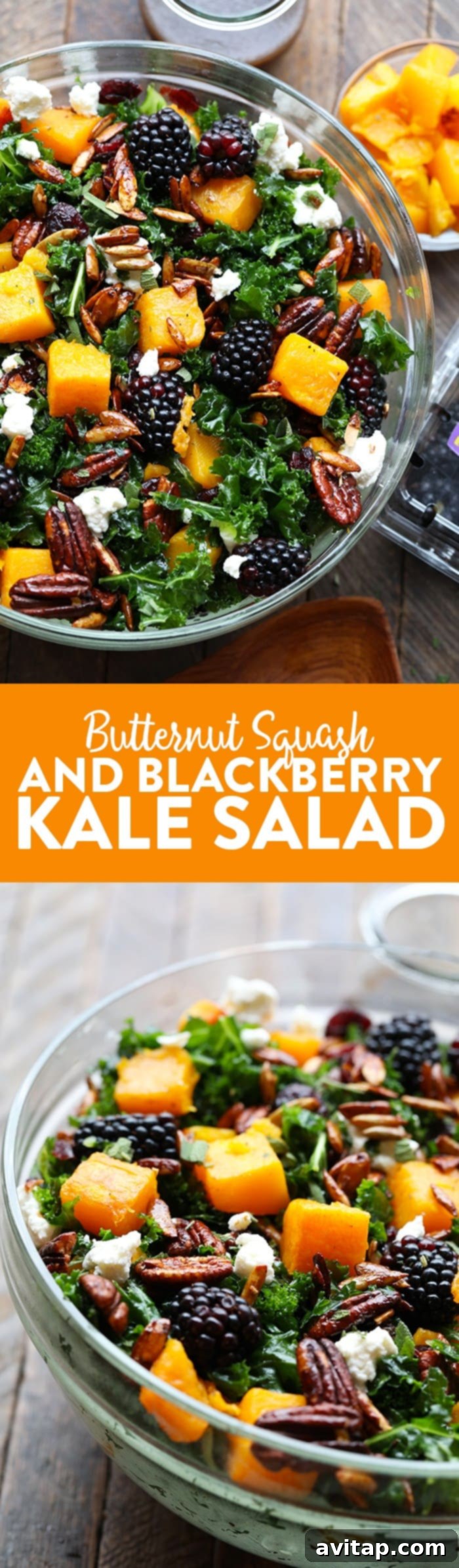 A close-up shot of the stunning Roasted Butternut Squash and Blackberry Harvest Salad, showcasing the textures and colors of the ingredients, perfect for a healthy and delicious meal.