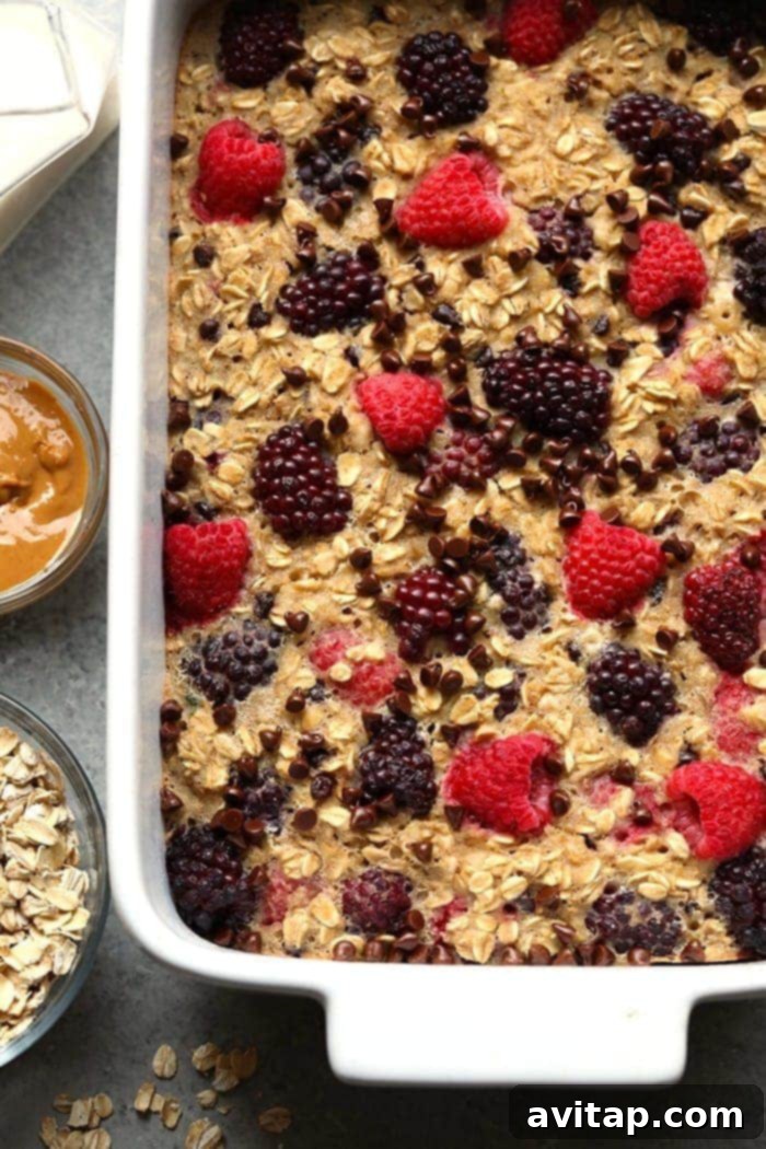 Delicious Dark Chocolate Berry Baked Oatmeal in a rustic casserole dish, adorned with fresh berries and chocolate chips