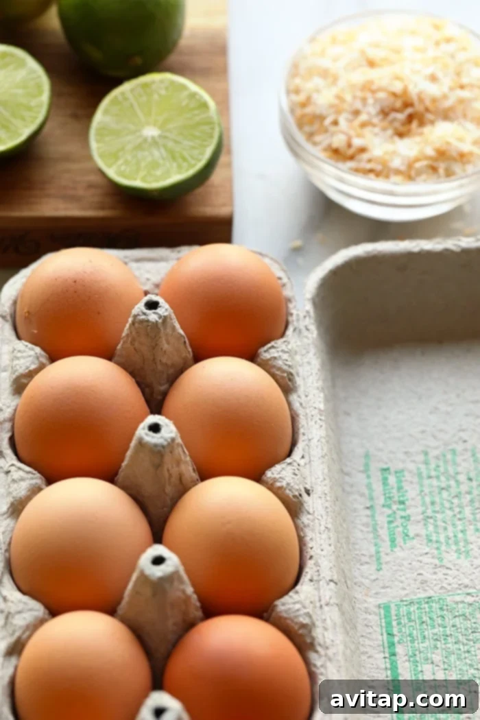 Ingredients for Healthy Coconut Key Lime Pie Bars A selection of fresh ingredients laid out, including key limes, honey, eggs, and shredded coconut, ready for baking healthy key lime pie bars.