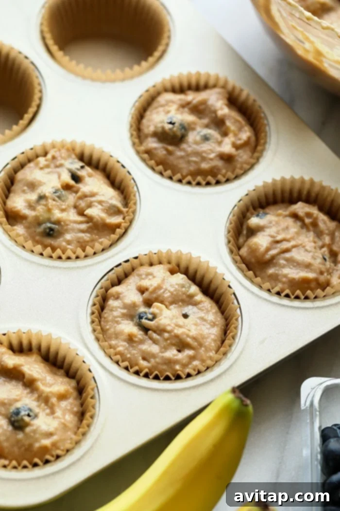 Who doesn't love blueberry muffins? These healthy blueberry muffins are easy to whip up for a picnic or a great healthy snack that the whole family will enjoy! Muffin liners with batter in them