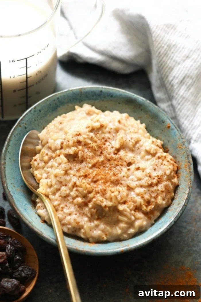 A beautifully styled bowl of brown rice pudding, garnished with cinnamon, ready to be enjoyed as a healthy and comforting dish.