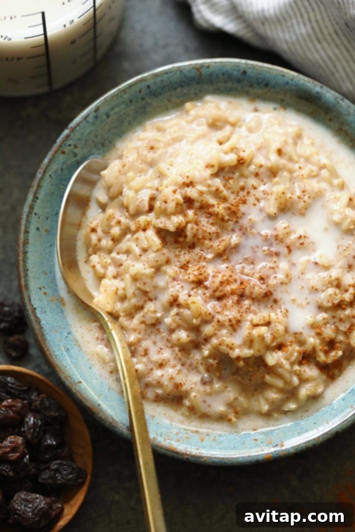 A large, rustic bowl of brown rice pudding, topped with a dusting of cinnamon, suggesting a warm and comforting meal.