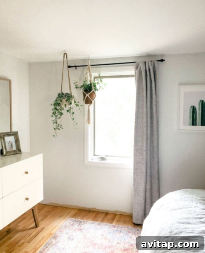 Elegant hanging plants add a touch of greenery to the master bedroom, enhancing its serene atmosphere.
