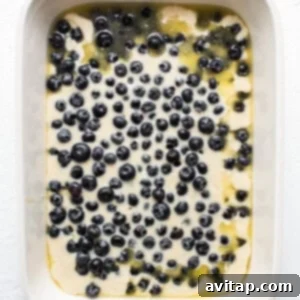 Uncooked blueberry cobbler in a baking dish with vibrant blueberries scattered generously over the batter.