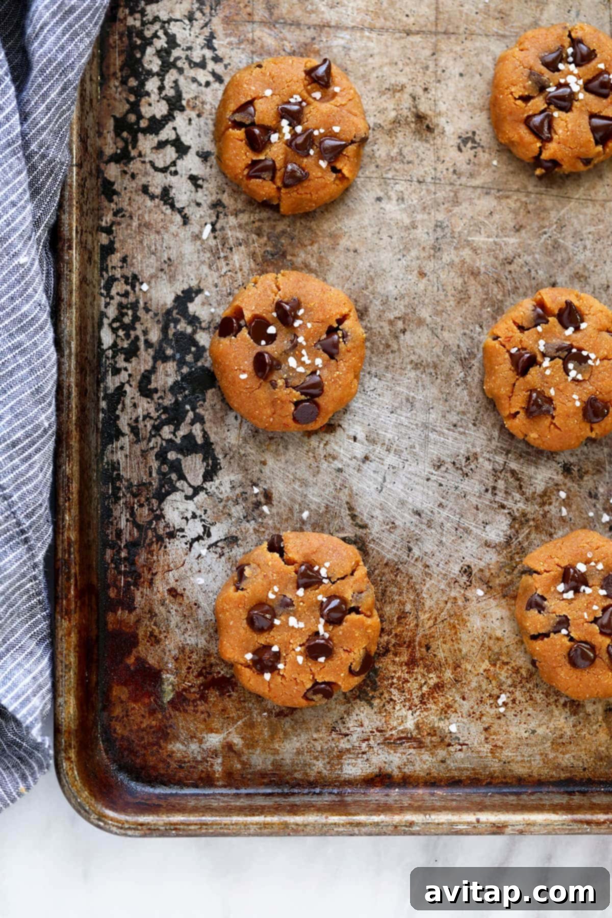 Healthy peanut butter cookies placed on a cookie sheet, perfectly shaped and ready for baking.