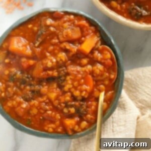 A bowl of finished sweet potato and lentil stew, garnished beautifully.