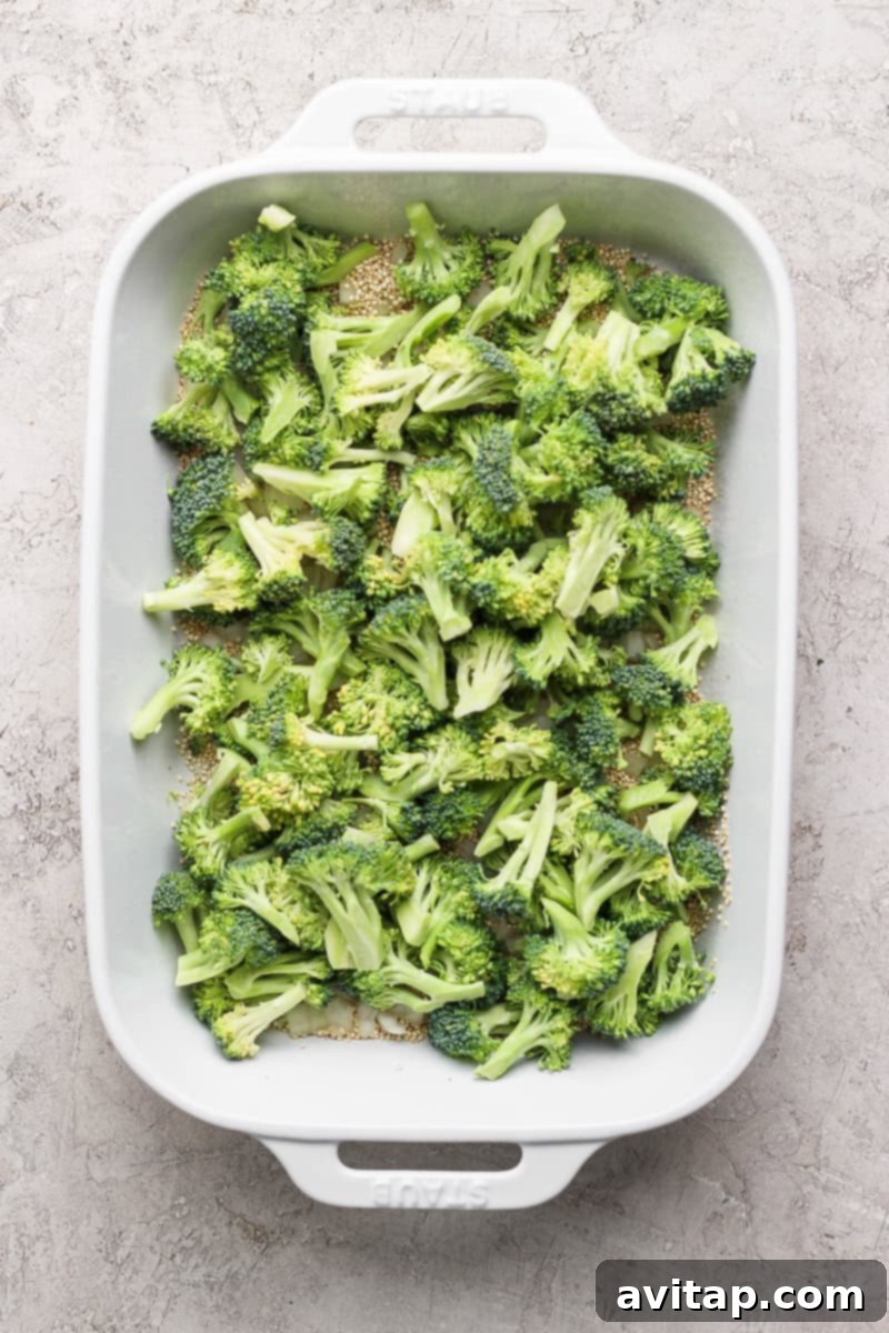 Chopped broccoli evenly spread in a white rectangular baking dish on a textured gray surface.