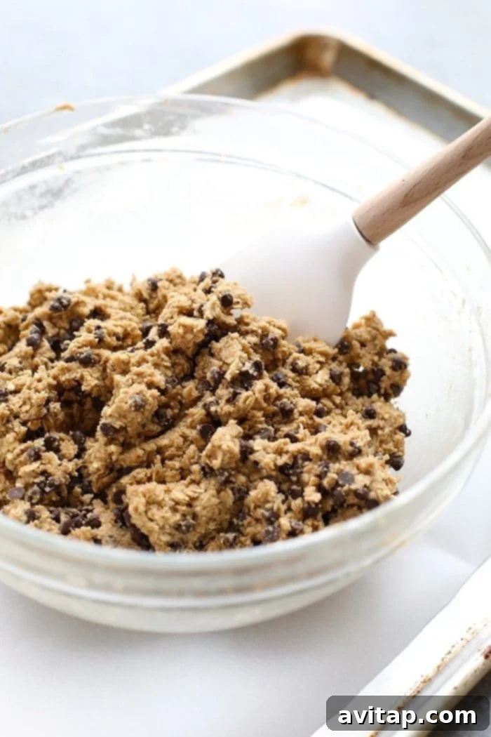 Wholesome oatmeal cookie dough, prepared and ready to be chilled. Healthy oatmeal cookie dough in a bowl, showing its rich texture before chilling.