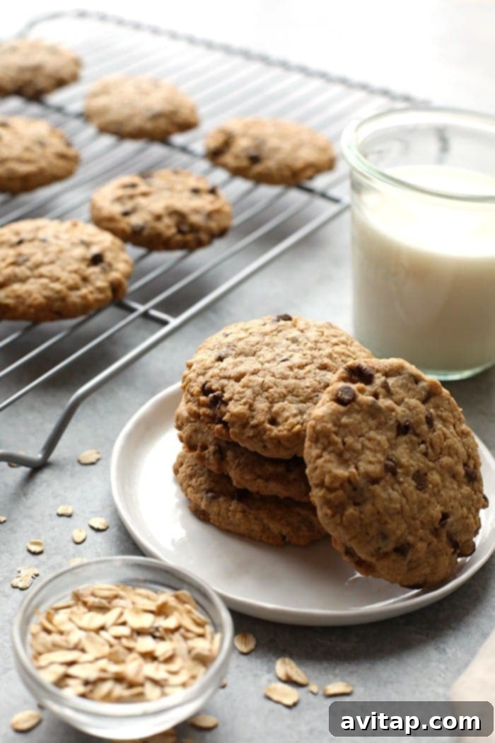 Enjoying healthy oatmeal cookies with a refreshing glass of milk. Healthy oatmeal cookies on a plate next to a glass of milk, making a perfect snack or dessert.