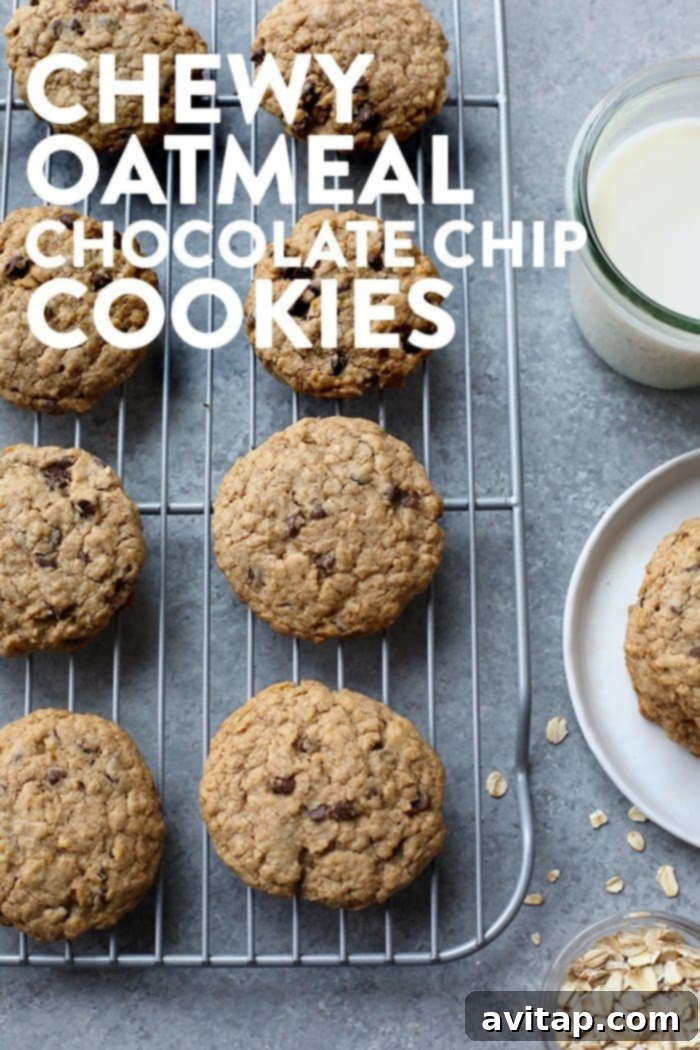 Freshly baked healthy oatmeal cookies cooling on a rack. Healthy oatmeal cookies cooling on a wire rack after baking, ready to be stored or served.