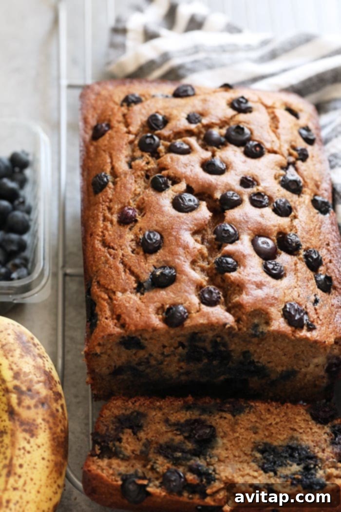 Perfectly moist blueberry banana bread made with whole grains, Greek yogurt, fresh blueberries, and maple syrup! Perfectly baked blueberry banana bread on a cooling rack, showcasing its golden-brown crust and moist texture.