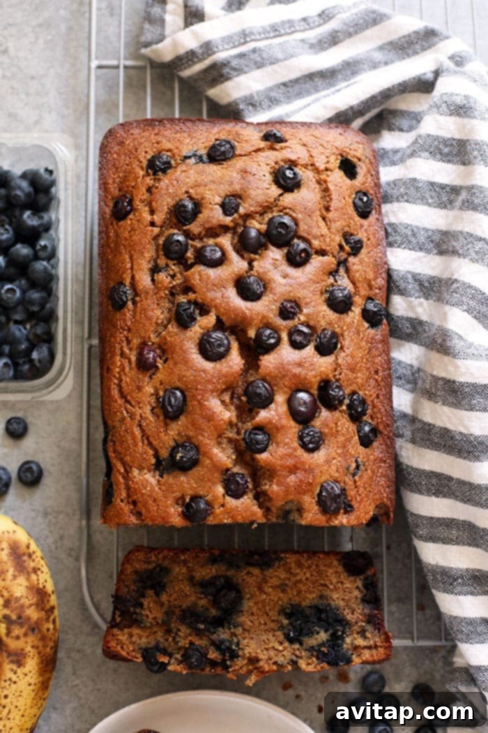 Perfectly moist blueberry banana bread made with whole grains, Greek yogurt, fresh blueberries, and maple syrup! A whole loaf of blueberry banana bread cooling on a wire rack, freshly baked.