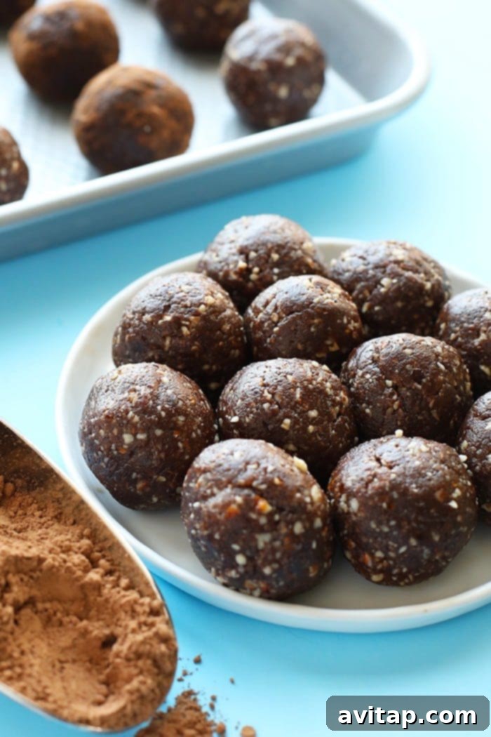 Rich and healthy peanut butter brownie balls that taste just like your favorite dessert. A beautifully presented plate of healthy peanut butter brownie balls, thoughtfully garnished with a luscious chocolate drizzle, signaling a nutritious and delicious treat.