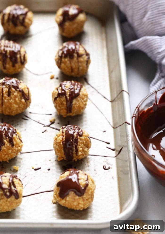 A tray of freshly made chocolate-covered peanut butter balls on a baking sheet, ready to be chilled.