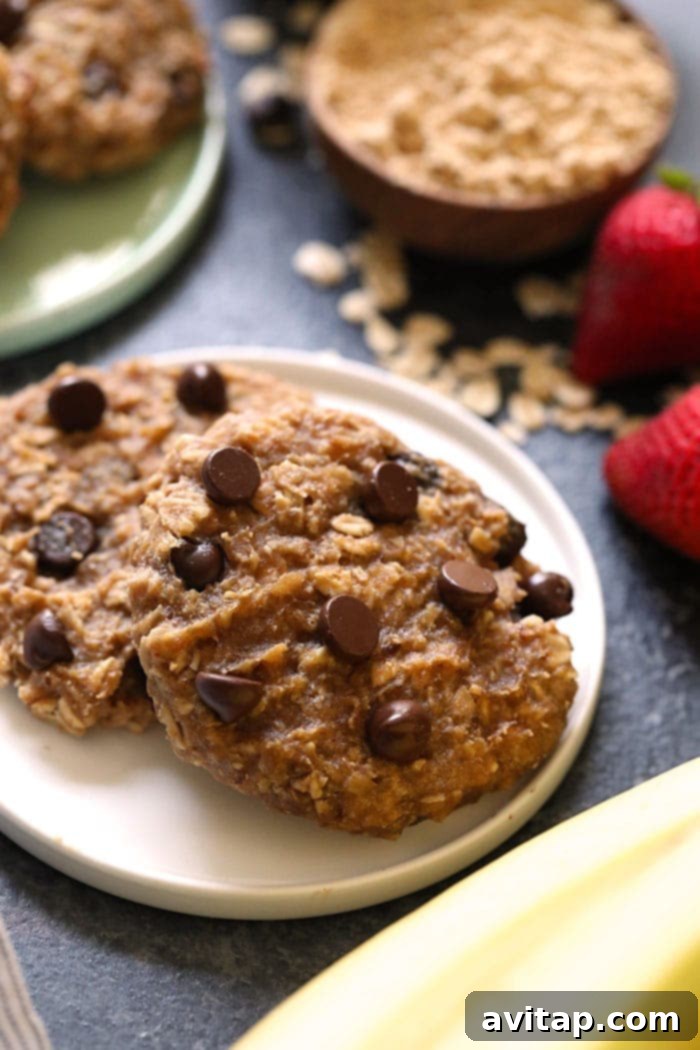 Two healthy vegan peanut butter banana breakfast cookies on a plate, ready to be enjoyed with a morning coffee or tea.