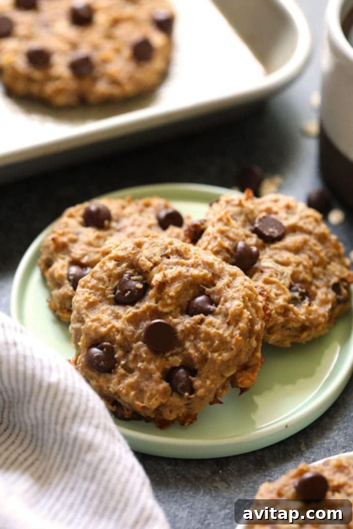 A stack of three healthy vegan peanut butter banana breakfast cookies on a white plate, ready for an easy grab-n-go breakfast.